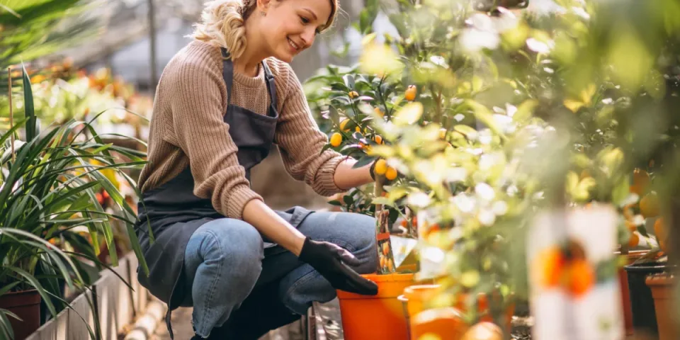 Jak wybrać platformę e-commerce: Shopify, WooCommerce czy custom? Porównanie kosztów, SEO i wdrożenia krok po kroku — praktyczny przewodnik dla startujących sklepów.