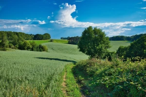 Wykształcenie i praca w zawodzie geodety. Krótko i na temat